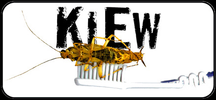 enter the world of kiew